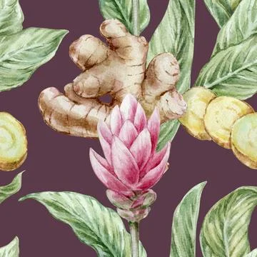 Seamless botanical watercolor pattern with ginger root leaves and red flowers on Stock Illustration