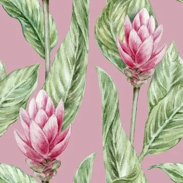 Seamless botanical watercolor pattern with ginger leaves and red flowers on a Stockillustratie