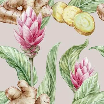 Seamless botanical watercolor pattern with ginger root leaves and red flowers on Stock Illustration