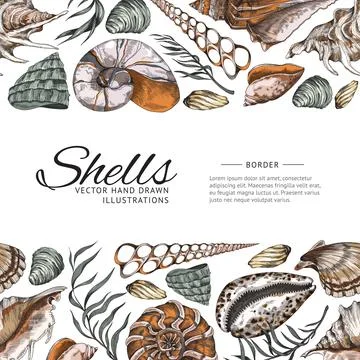 Seamless bottom and top border with seashells, vector illustration isolated. Stock Illustration