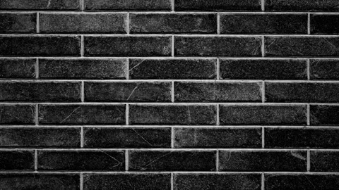 Seamless Brick Wall Loop Animation Stock Footage 314685965