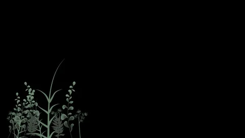 Seamless Bush Pattern Moving in the Wind in Loop Alpha Channel Transparent Stock Footage 123135896