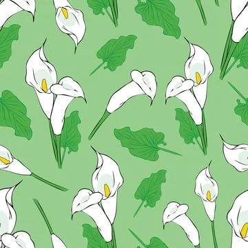 Seamless calla flowers pattern on green background Stock Illustration