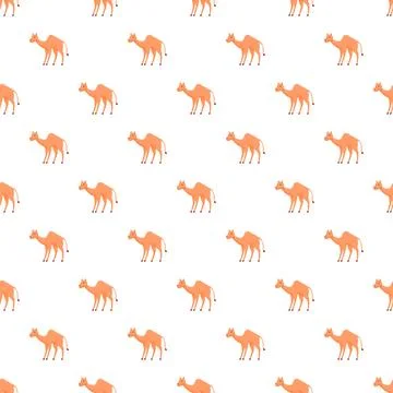 Seamless camel pattern illustrating desert animal life Stock Illustration