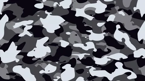 Seamless camouflage pattern background transition Stock Footage 276569005