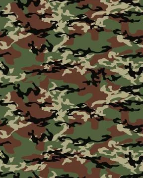 Seamless camouflage pattern Stock Illustration