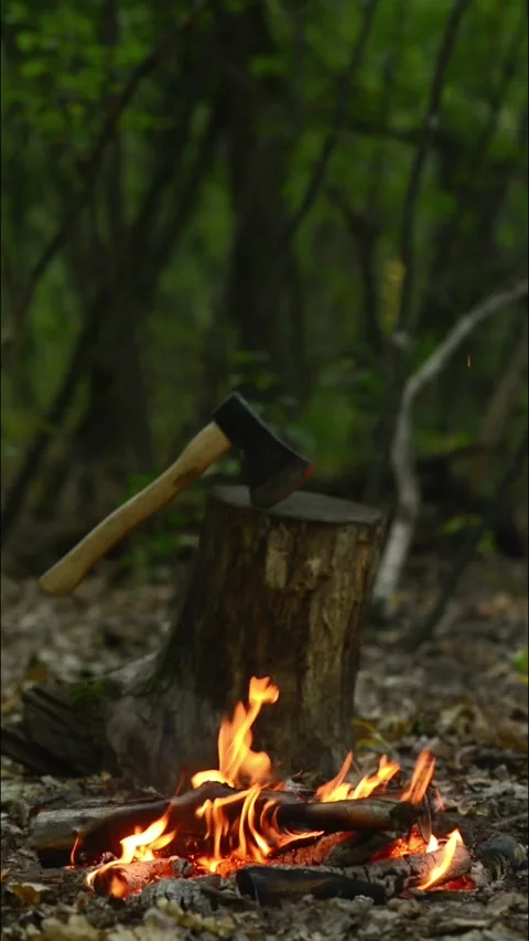 Seamless Campfire Loop with Axe and Wood Chopping Block in Forest Stock Footage 344031148