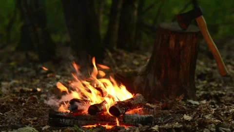 Seamless Campfire Loop with Axe and Wood Chopping Block in Forest Video stock 344031164