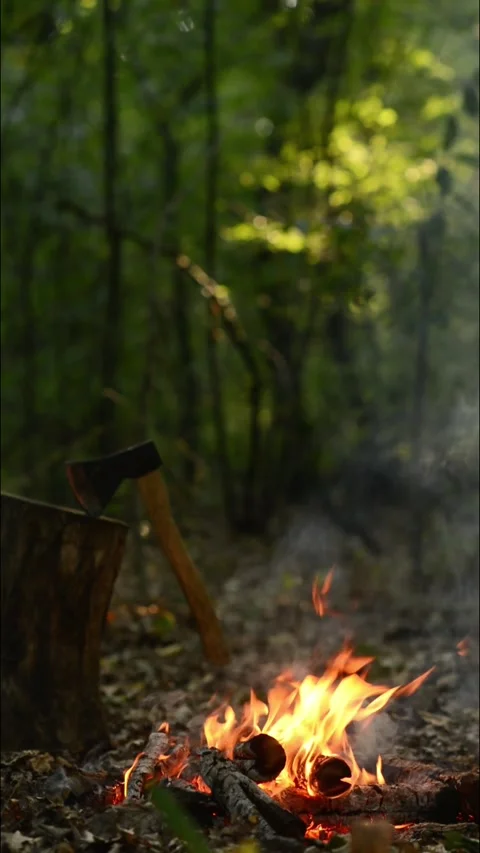 Seamless Campfire Loop with Axe and Wood Chopping Block in Forest Video stock 344031174