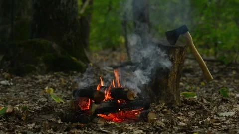 Seamless Campfire Loop with Axe and Wood Chopping Block in Forest. Video stock 344031180