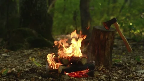 Seamless Campfire Loop with Axe in Forest for Video Background 動画素材 344031126