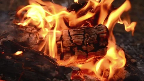 Seamless Campfire Loop Footage with Bright Flames and Glowing Coals Video stock 344031128