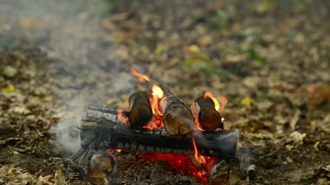 Seamless Campfire Loop Footage with Charred Logs and Smoke 動画素材 344031143