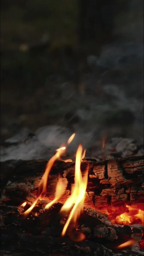 Seamless Campfire Loop Footage with Flames and Smoke on Hot Coals Stock-Footage 344031165