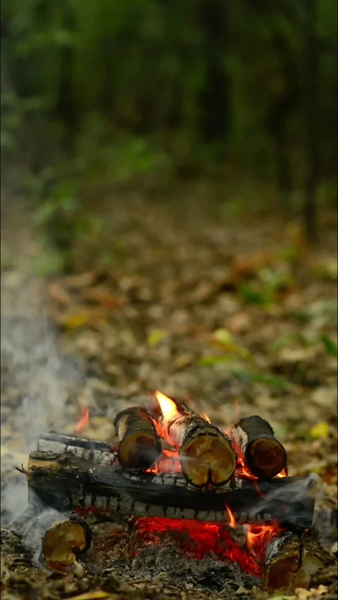 Seamless Campfire Loop Footage with Smoldering Logs and Smoke Video stock 344031161
