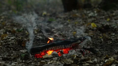 Seamless Campfire Loop Footage with Smoldering Embers and Hot Coals Video stock 344031182