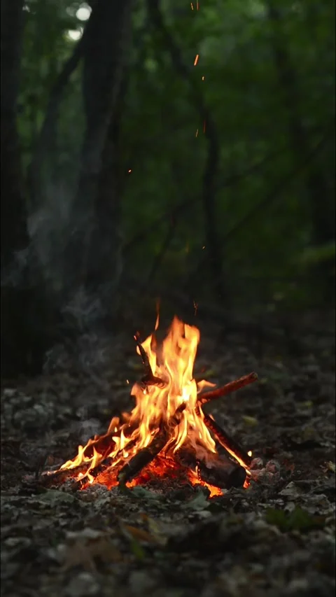 Seamless Campfire Loop Footage with Sparks and Flames in Forest Woods Video stock 344031179