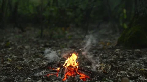 Seamless Campfire Loop Footage with Warm Flames on Forest Ground Stock Footage 344031170