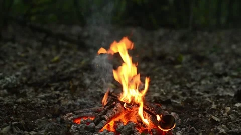 Seamless Campfire Loop Footage with Warm Flames on Forest Ground 動画素材 344031172