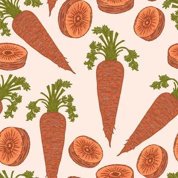 Seamless Carrot Pattern Vector Hand Drawn Mediterranean Style Fresh Vegetable Stock Illustration