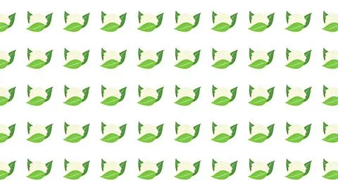 Seamless cauliflower vegetable pattern on white background for kitchen wall.. Stock-Illustration