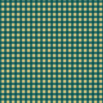 Seamless checkered pattern with hand drawn gingam checks Stock Illustration