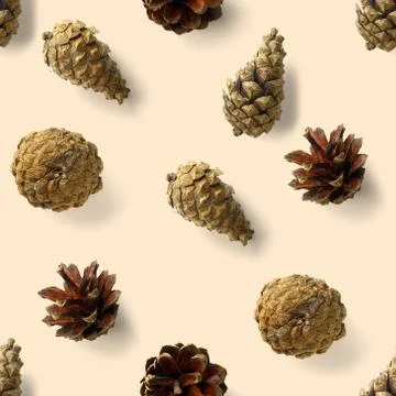 Seamless christmas pattern from Pine cones on white background. modern pine c Foto stock