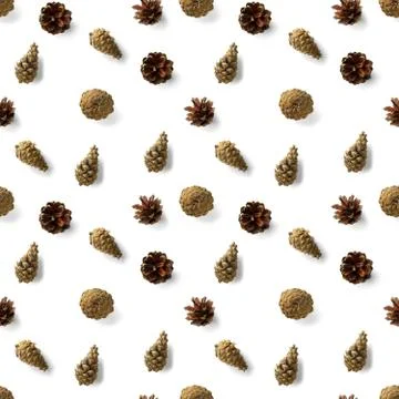 Seamless christmas pattern from Pine cones on white background. modern pine c Stock Photos
