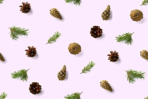 Seamless christmas pattern from Pine cones on pink background. modern pine co Stock Photos
