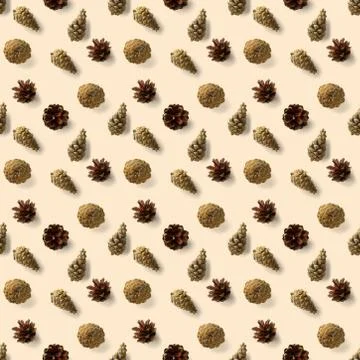 Seamless christmas pattern from Pine cones on white background. modern pine c Stock Photos