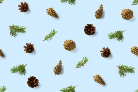 Seamless christmas pattern from Pine cones on blue background. modern pine co Foto stock