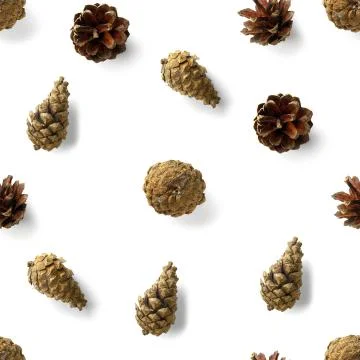 Seamless christmas pattern from Pine cones on white background. modern pine c Foto stock