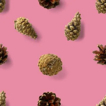 Seamless christmas pattern from Pine cones on pink background. modern pine co Foto stock