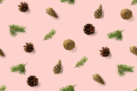 Seamless christmas pattern from Pine cones on pink background. modern pine co Foto stock