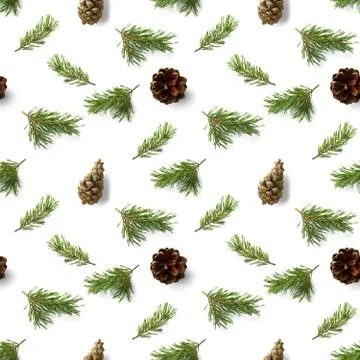 Seamless christmas pattern from Pine cones and pine twig on white background. Stock Photos