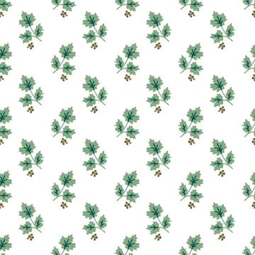 Seamless cilantro pattern Stock Illustration