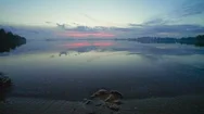 Seamless Cinemagraph Loop - A Leaf At The Edge Of A Lake Stock Footage