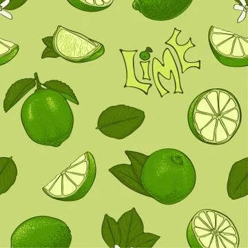 Seamless color pattern of lime. Vector symbols in sketch style. Stock Illustration
