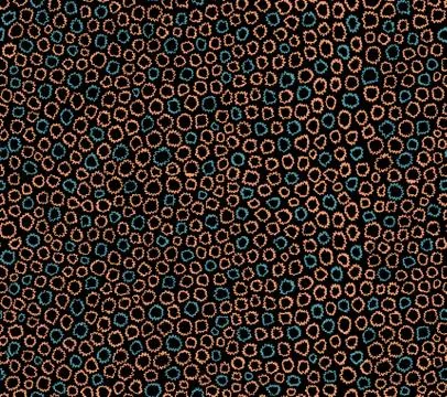 Seamless colored camouflage pattern army Stock Illustration