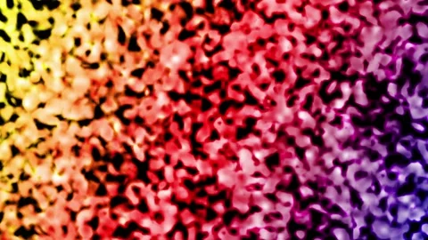 Seamless Colorful Gradient Loop Background Stock Footage 160547522