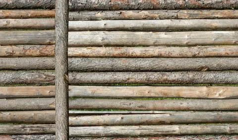 Seamless colorful pattern of logs with the bark and debarked of the pine tree Stock Photos