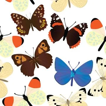 Seamless common butterfly pattern with white background Illustrazione stock