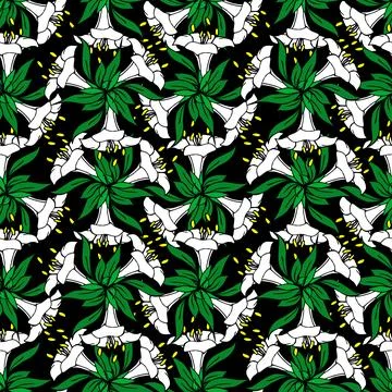 Seamless contour pattern of large white graphic flowers on a black backgrou.. Stock Illustration