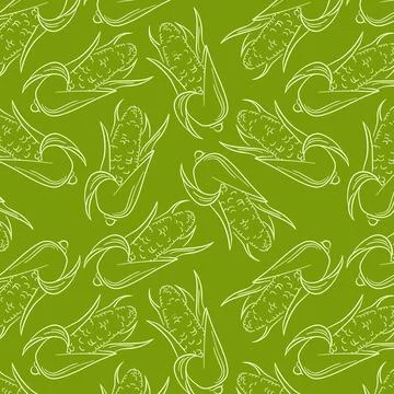Seamless corn pattern in line art style with a green background. Illustration of Stock Illustration