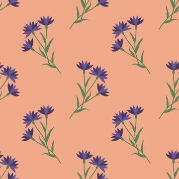 Seamless cornflowers pattern Stock Illustration