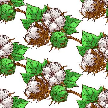 Seamless cotton branches Stock Illustration