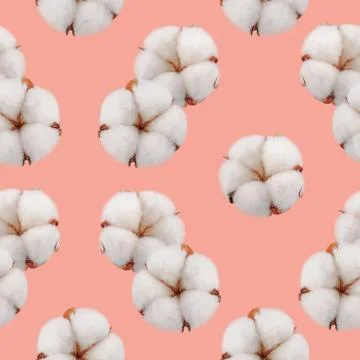 Seamless cotton pattern on coral background Stock Photos