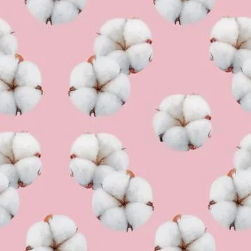 Seamless cotton pattern on pink background Stock Photos