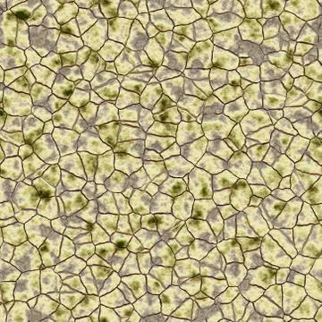 Seamless cracked soil pattern Stock Illustration
