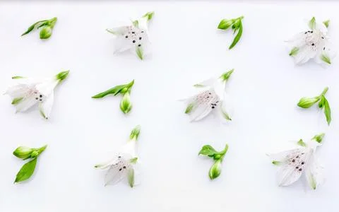 Seamless creative floral pattern on a white background. Flat lay flowers. Bac Stock Photos